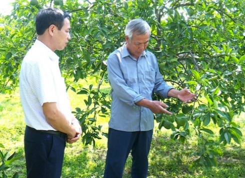 Ông nông dân nhẹ nhàng bỏ túi 20 tỷ đồng/năm nhờ nuôi con mắn đẻ, "hiền như đất"- Ảnh 2.