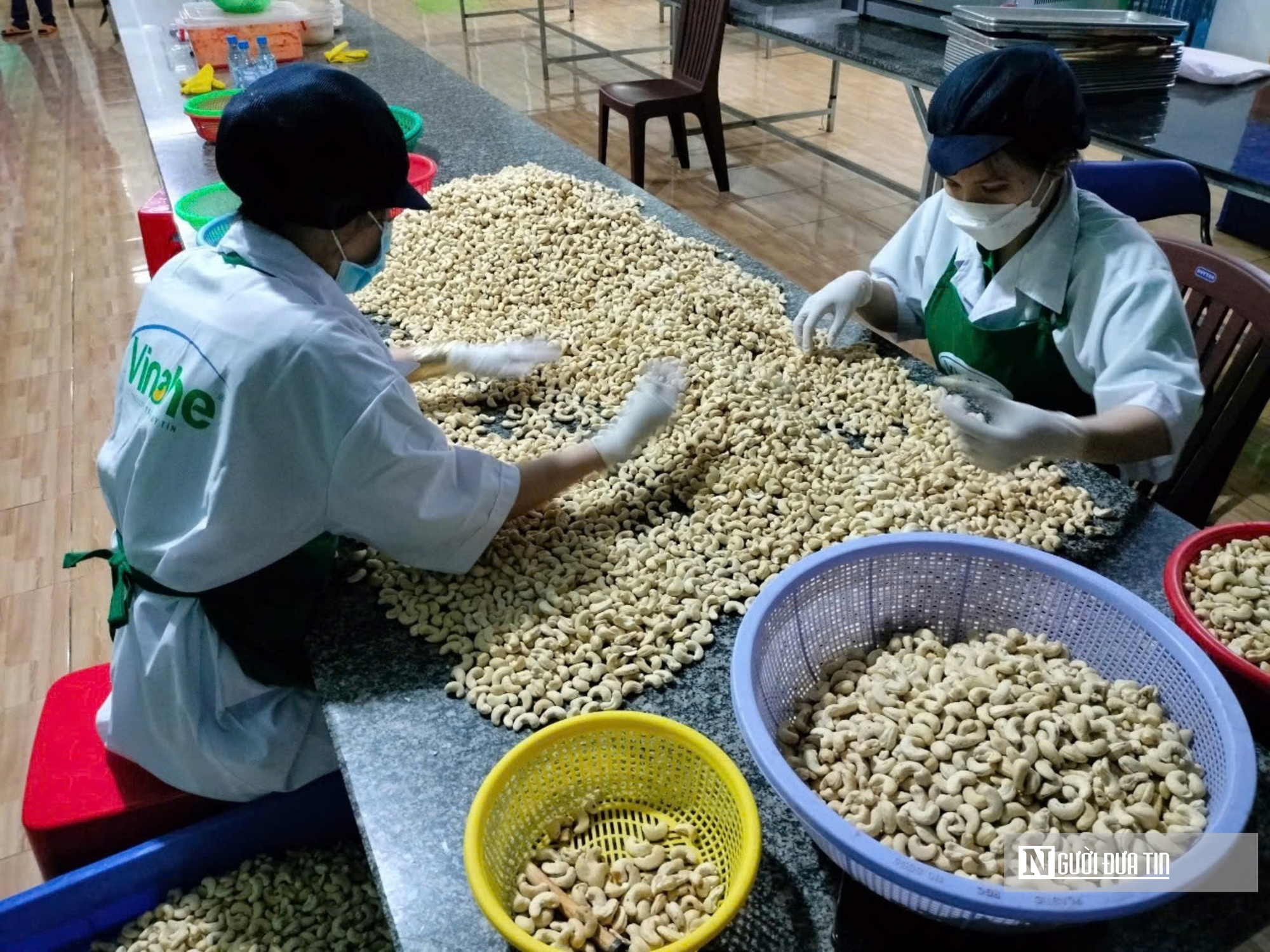 Bình Phước: Nâng cao chất lượng an toàn lao động cho các doanh nghiệp- Ảnh 1.