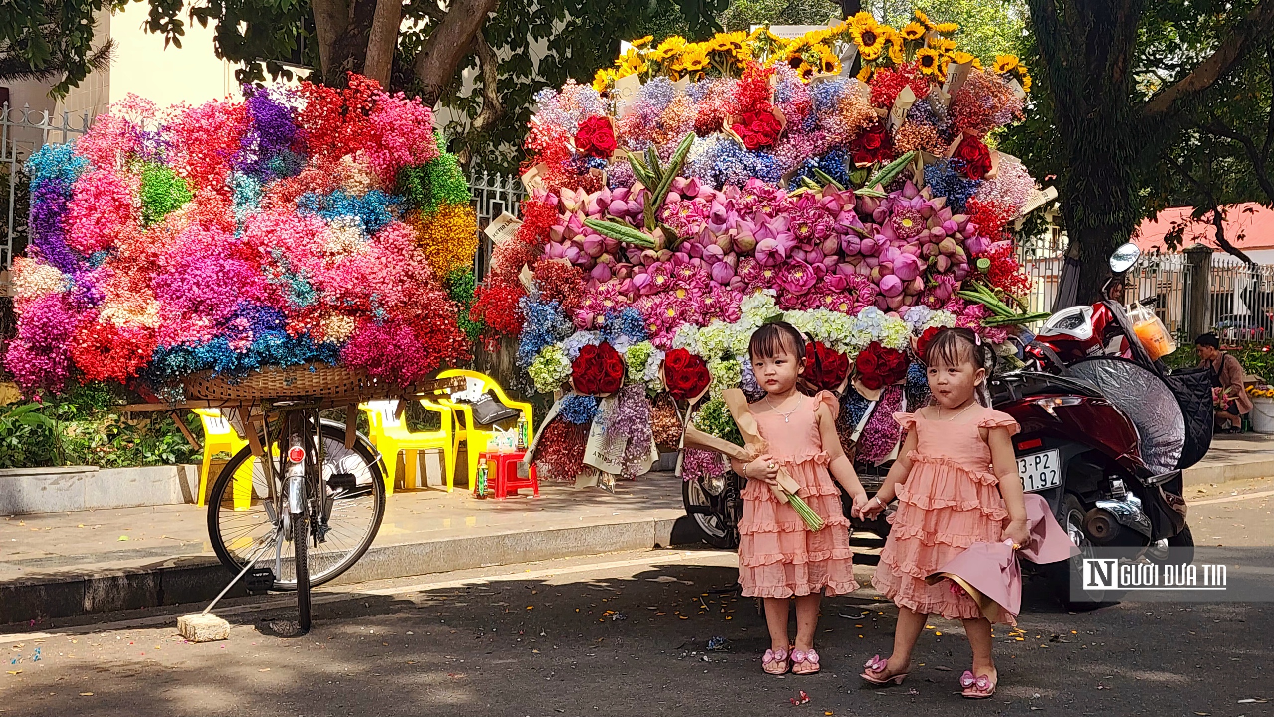 "Check in" mùa thu Hà Nội giữa lòng Bình Phước- Ảnh 7.