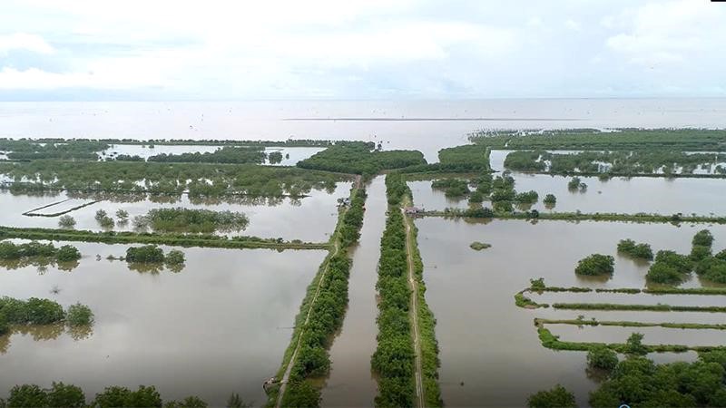 Công ty TNHH Công nghệ Việt Mỹ được gia hạn sử dụng đất 24 tháng đối với khu đầm nuôi trồng thuỷ sản hơn 300ha- Ảnh 1.