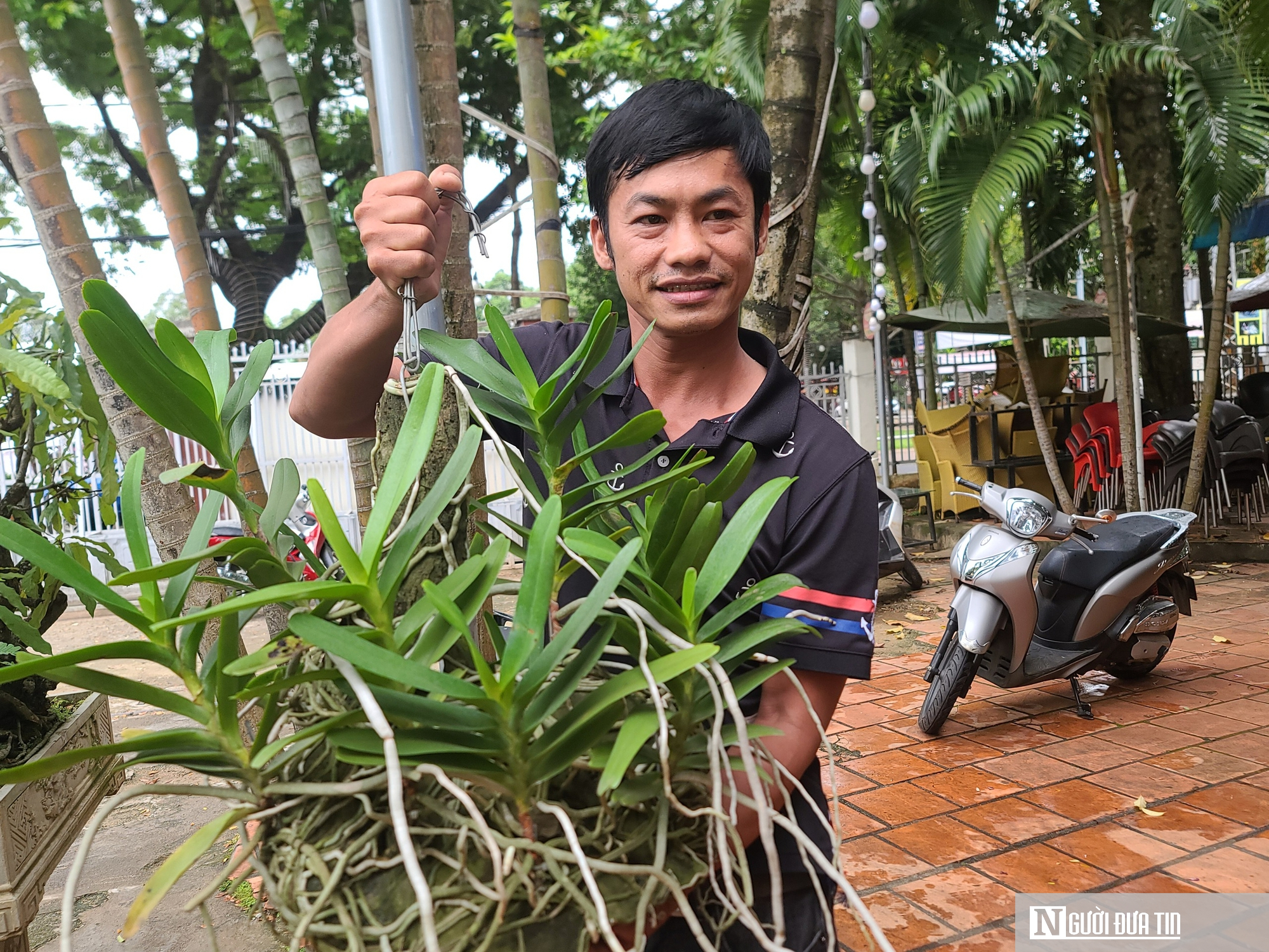 Đắk Lắk: Gần 5.000 tác phẩm độc đáo tham dự triển lãm sinh vật cảnh- Ảnh 3.