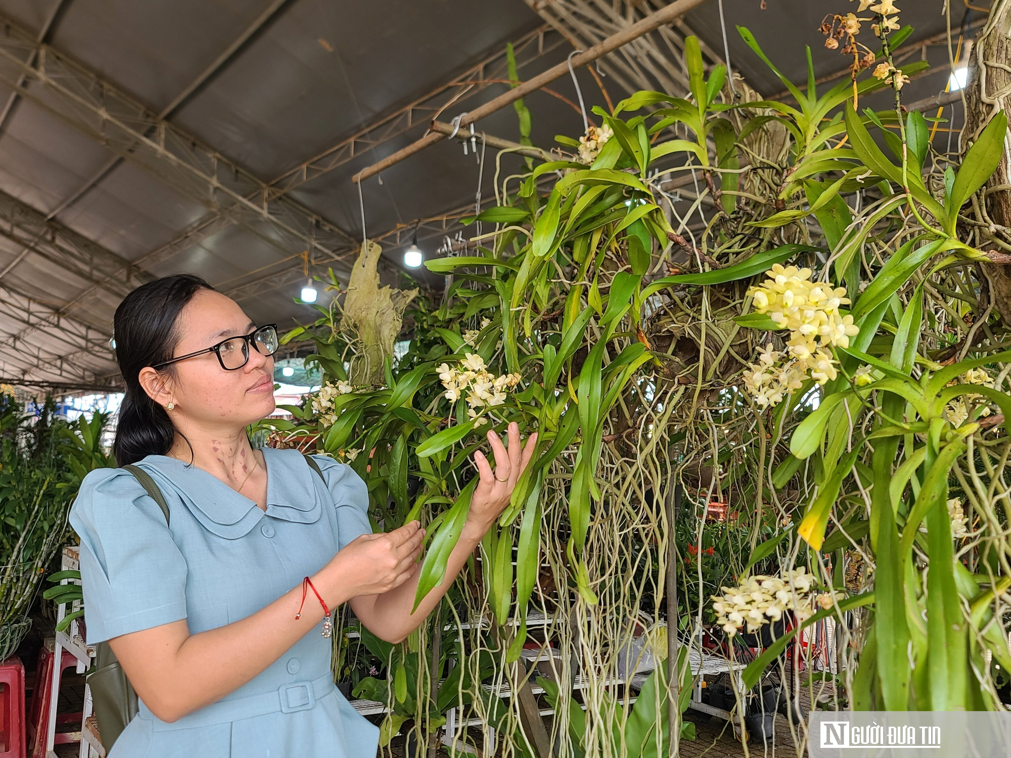 Đắk Lắk: Gần 5.000 tác phẩm độc đáo tham dự triển lãm sinh vật cảnh- Ảnh 6.