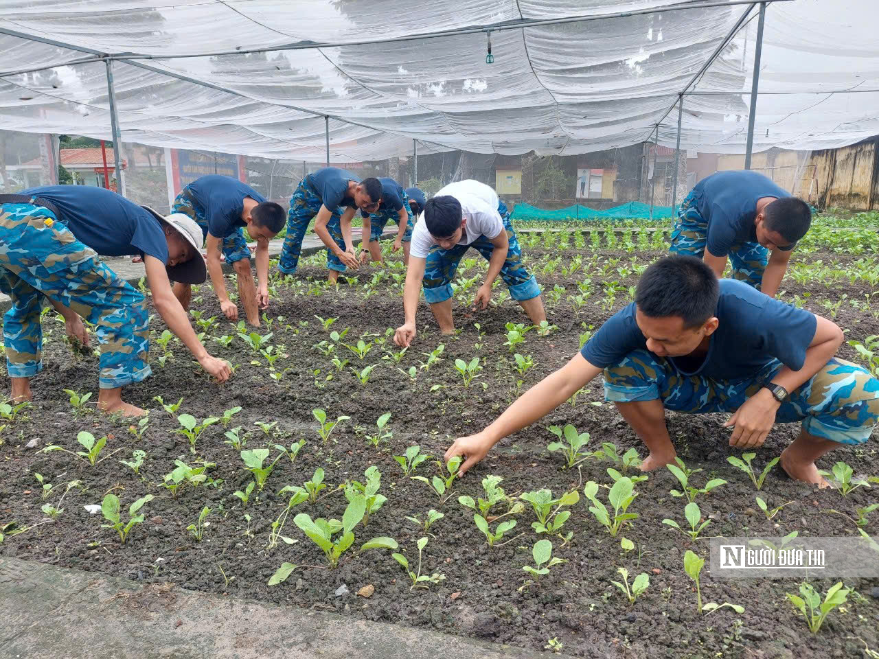 Những "đóa hoa" rực rỡ giữa trận địa canh trời- Ảnh 3.