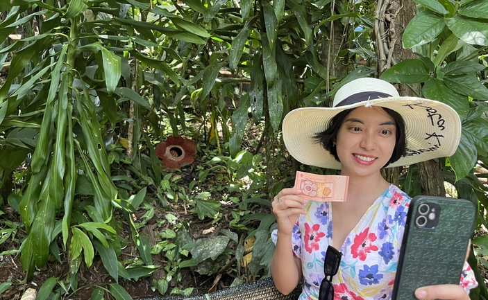 Loài hoa khổng lồ, nặng tới 10kg, có mùi thối nhất thế giới- Ảnh 1.