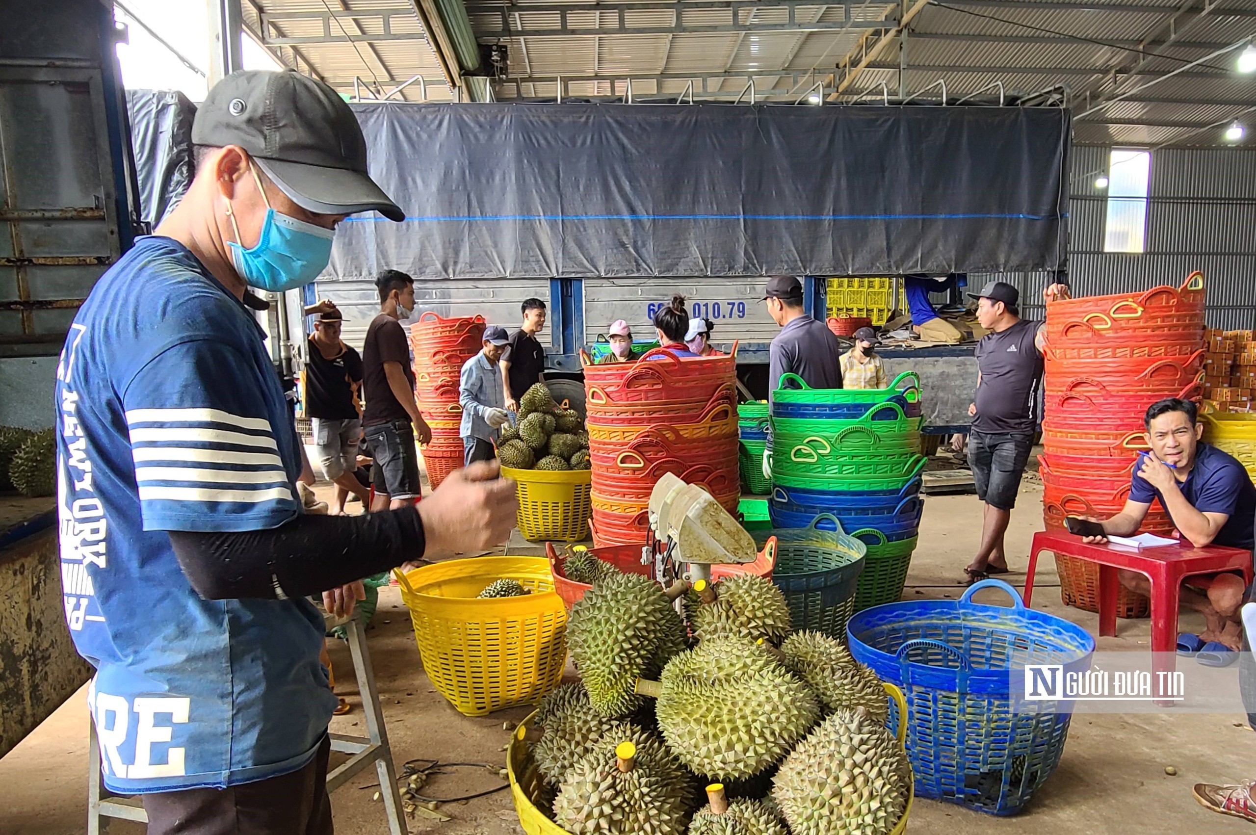 Vì sao hàng loạt kho thu mua tại "thủ phủ sầu riêng" Đắk Lắk đóng cửa im ỉm?- Ảnh 6.