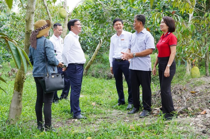 Anh nông dân kiếm mỗi năm 7 tỷ đồng nhờ trồng loại trái siêu to- Ảnh 2.