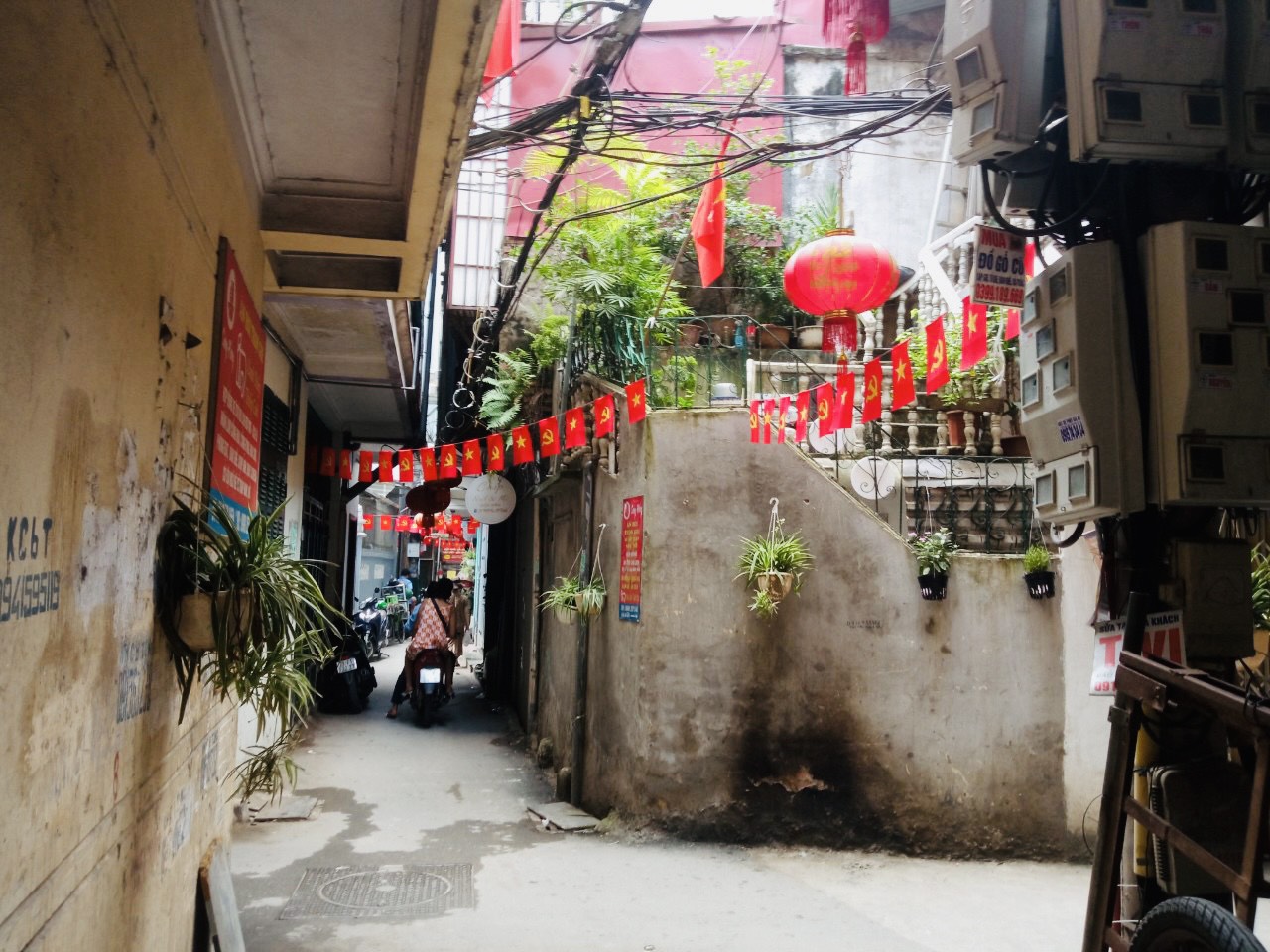 Chi hội Luật gia phường Bưởi tích cực tham gia bảo vệ môi trường- Ảnh 3.