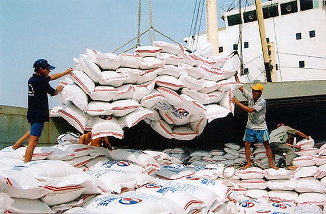 Giá nông sản 9/8: Cao su biến động trái chiều, đu đủ tăng mạnh- Ảnh 4.