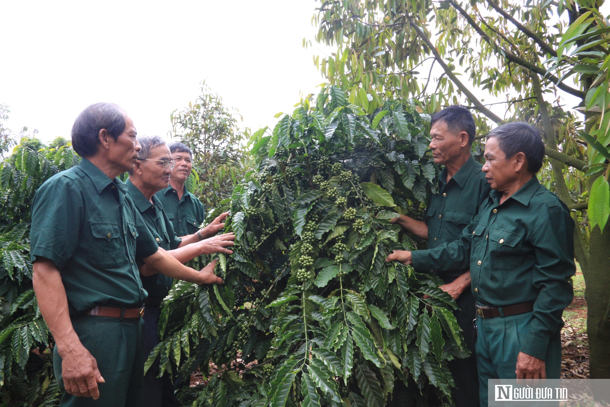 Chuyện lập nghiệp của những cựu binh “tàn nhưng không phế”- Ảnh 2.