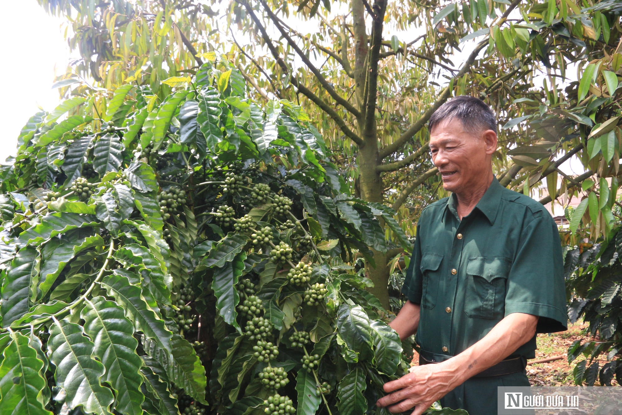 Chuyện lập nghiệp của những cựu binh “tàn nhưng không phế”- Ảnh 3.