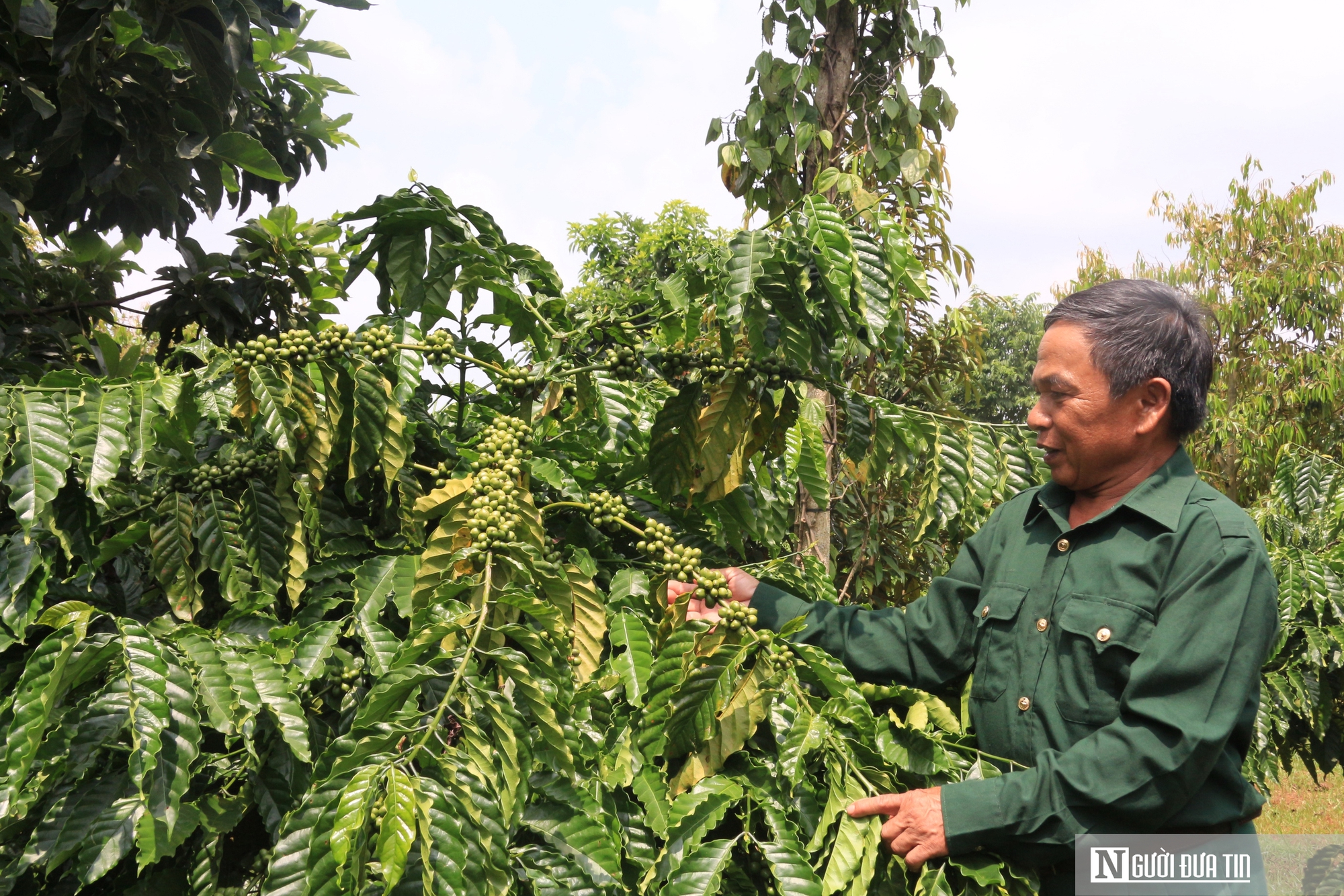 Chuyện lập nghiệp của những cựu binh “tàn nhưng không phế”- Ảnh 4.