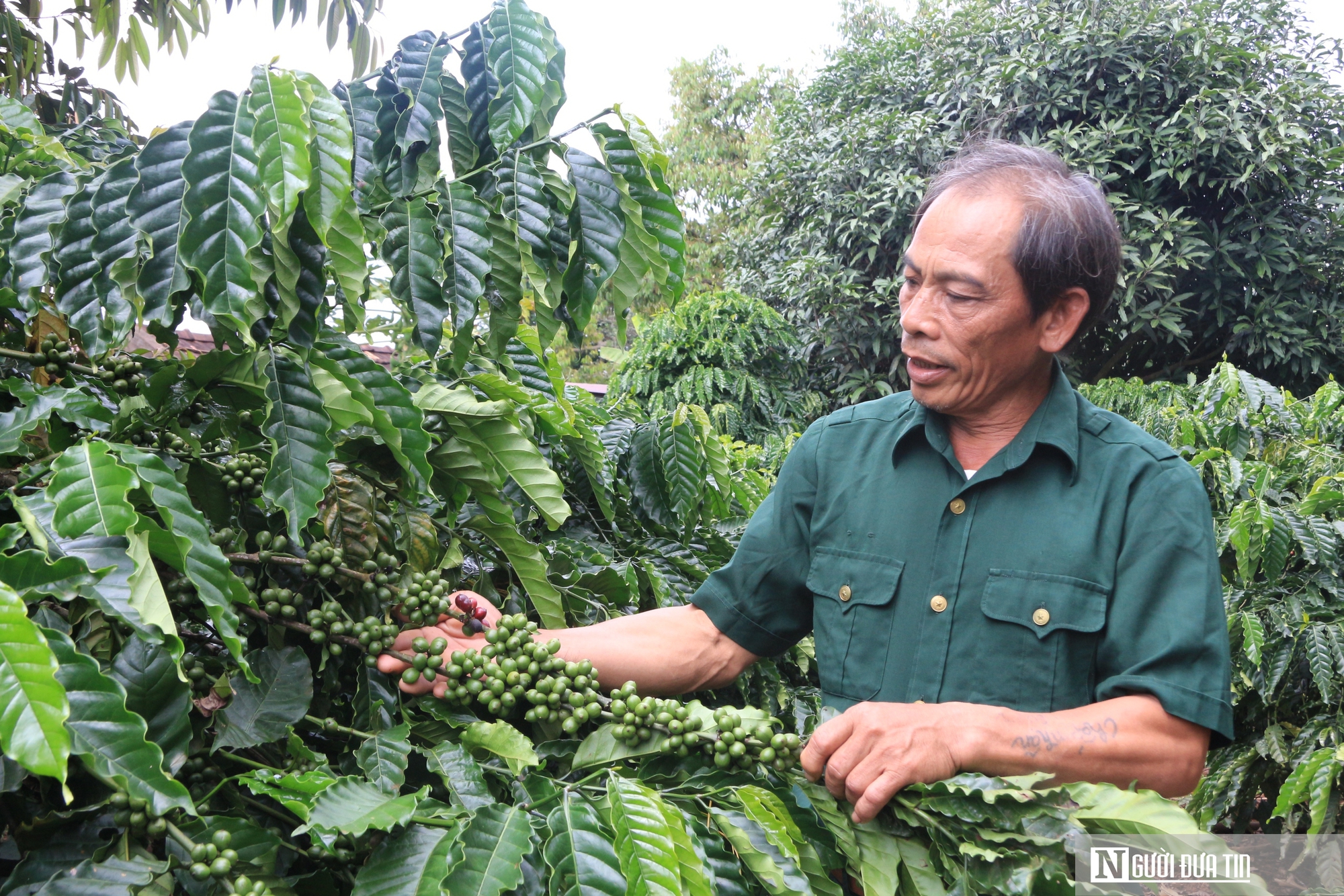 Chuyện lập nghiệp của những cựu binh “tàn nhưng không phế”- Ảnh 5.