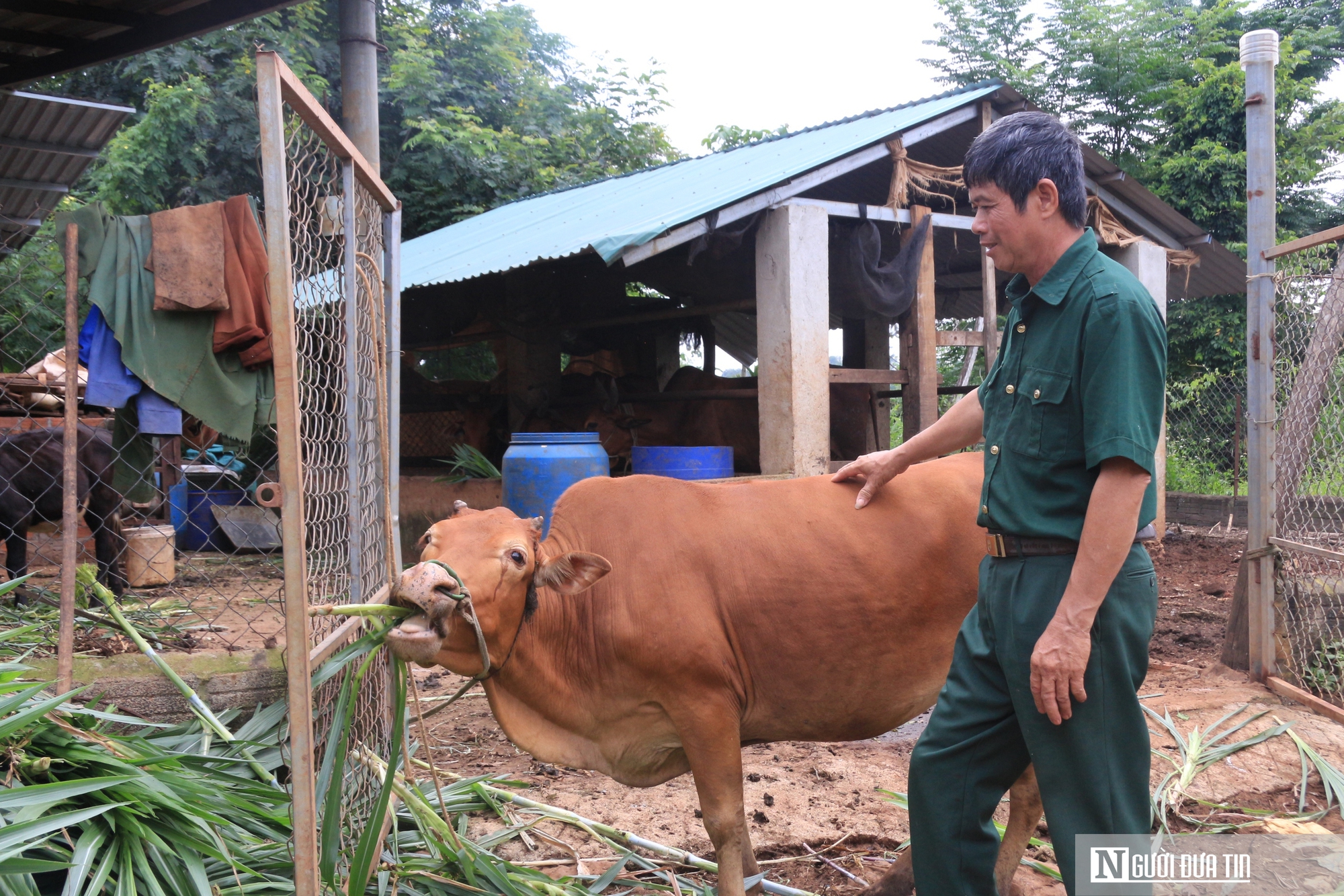 Chuyện lập nghiệp của những cựu binh “tàn nhưng không phế”- Ảnh 7.