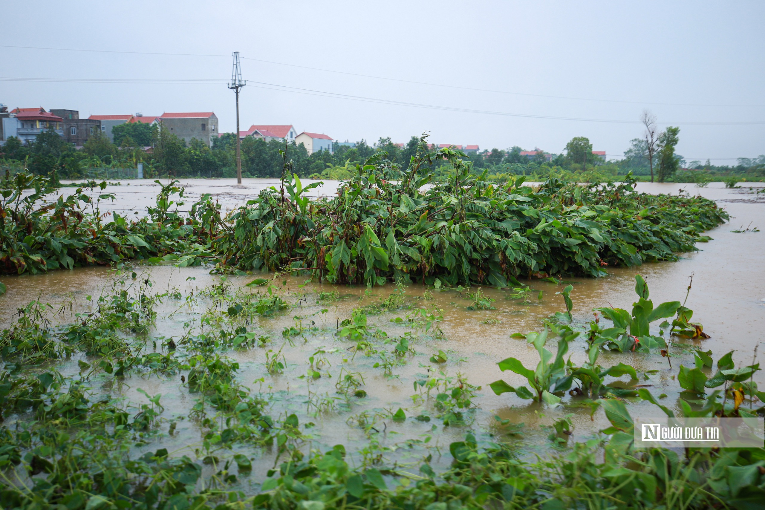 Hỗ trợ người dân vùng ngoại thành Hà Nội di dời tài sản tránh lũ- Ảnh 2.