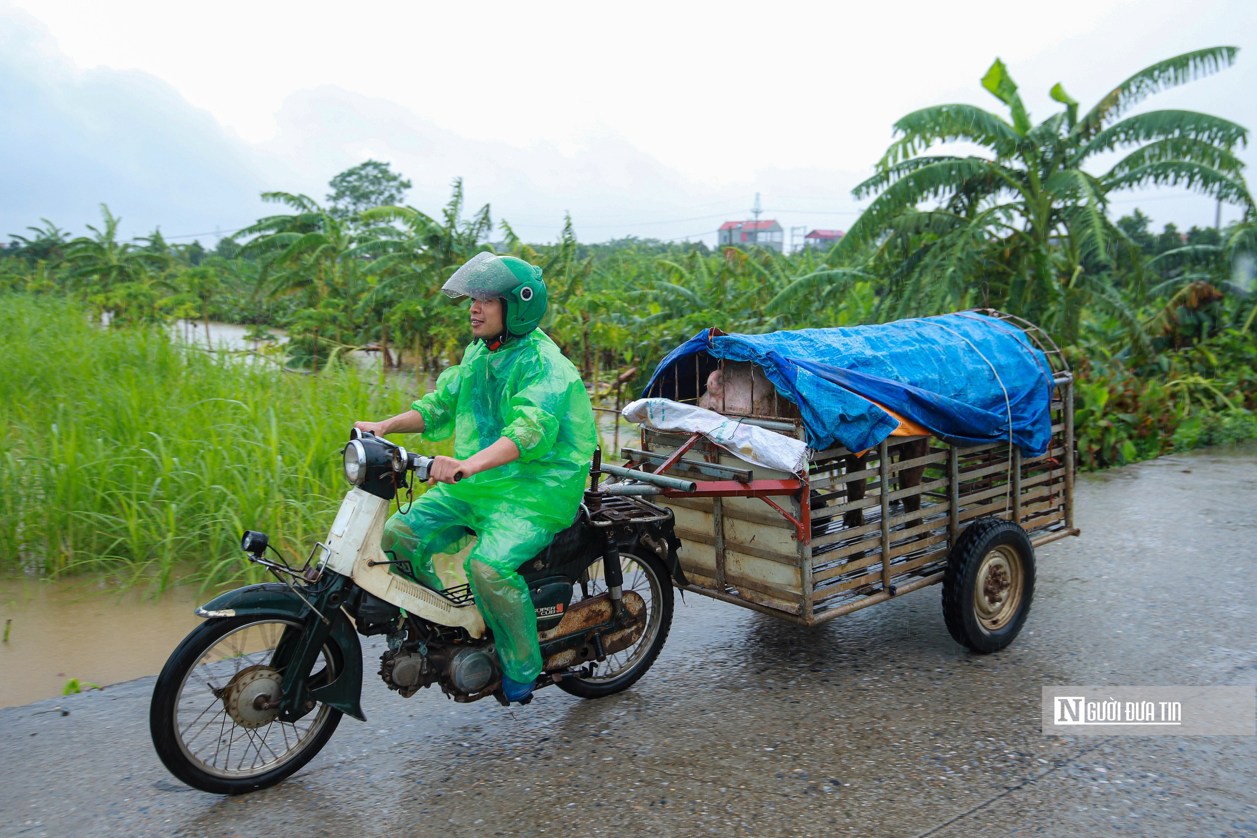 Hỗ trợ người dân vùng ngoại thành Hà Nội di dời tài sản tránh lũ- Ảnh 12.