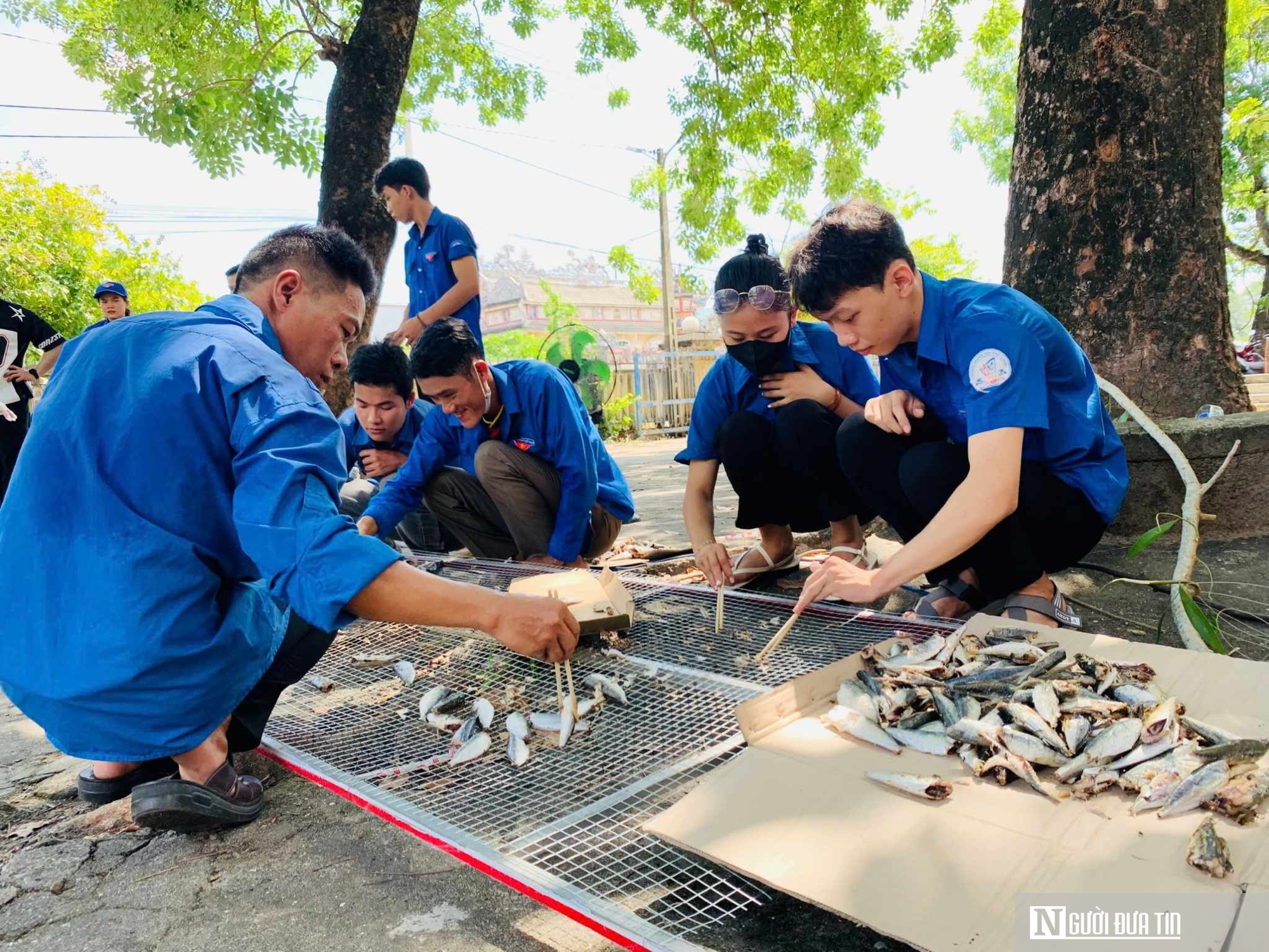 Chùm ảnh: Doanh nhân Huế tự tay đi mua cá nục tươi về nướng than gửi ra Bắc- Ảnh 7.