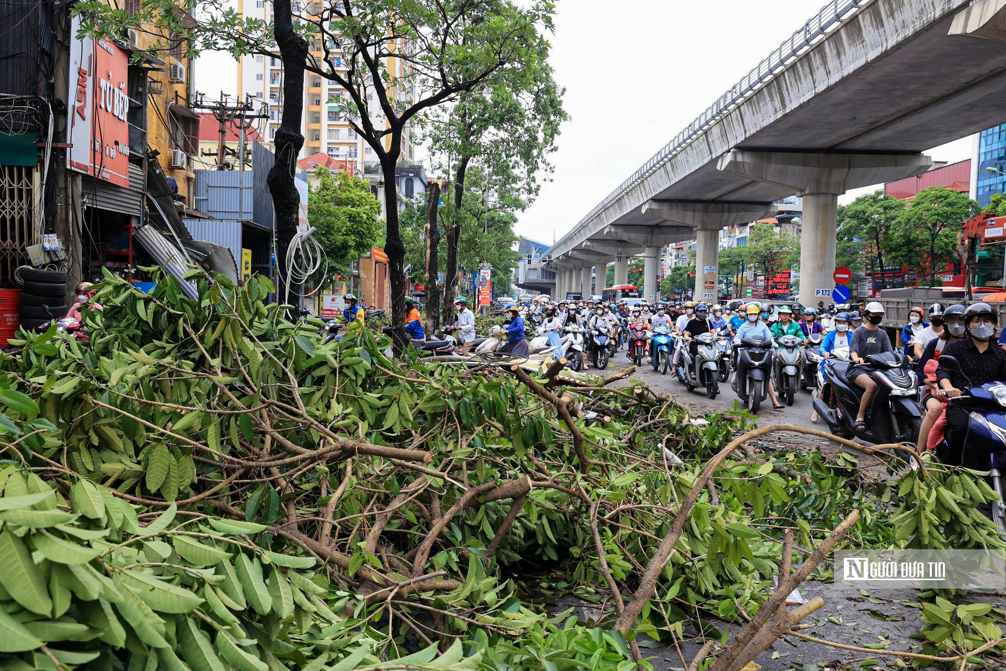 Khoảng 7.000 tỷ đồng yêu cầu bảo hiểm bồi thường sau bão số 3- Ảnh 1.