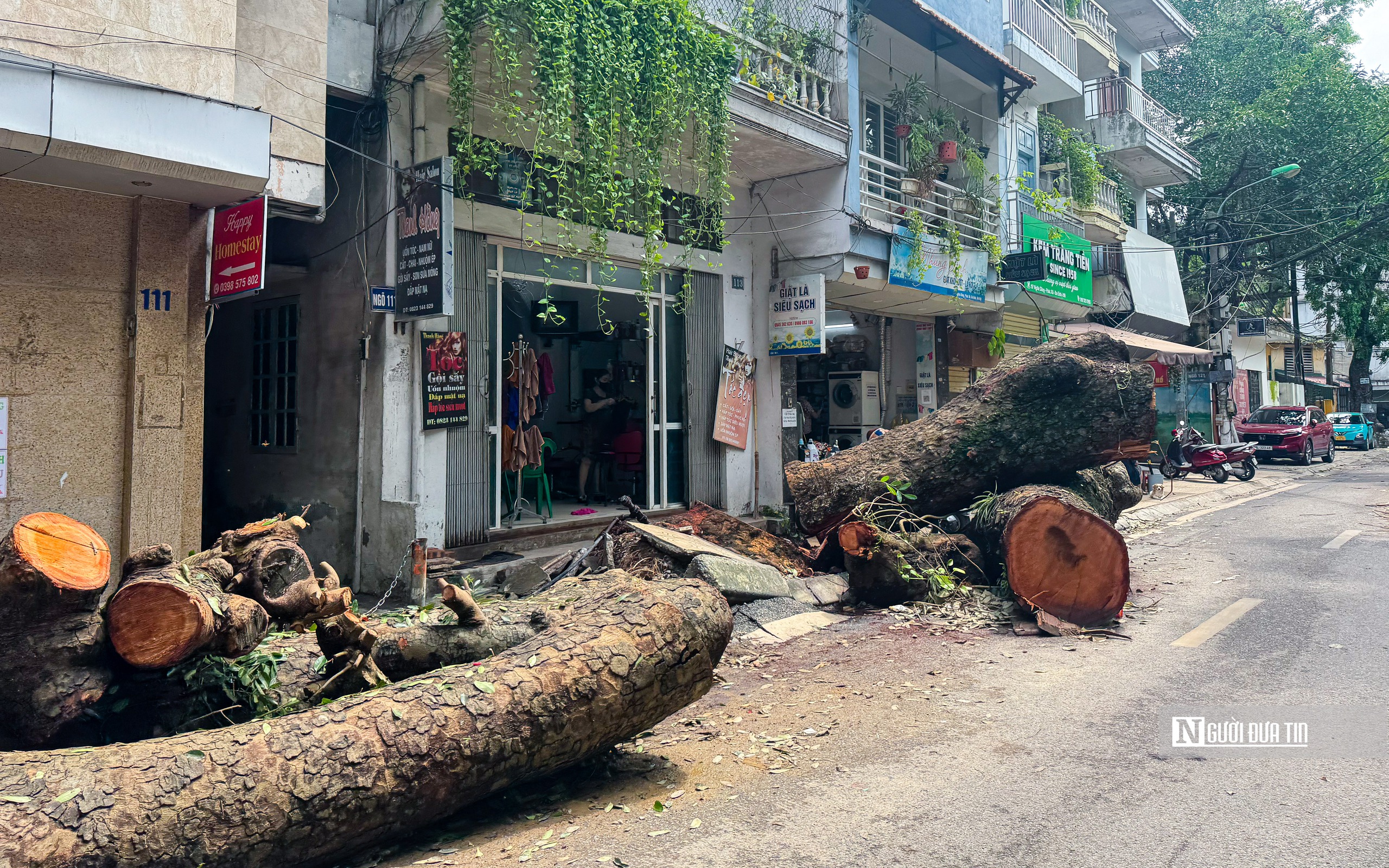 Hà Nội: Cây xanh gãy đổ vẫn ngổn ngang trên đường phố- Ảnh 6.