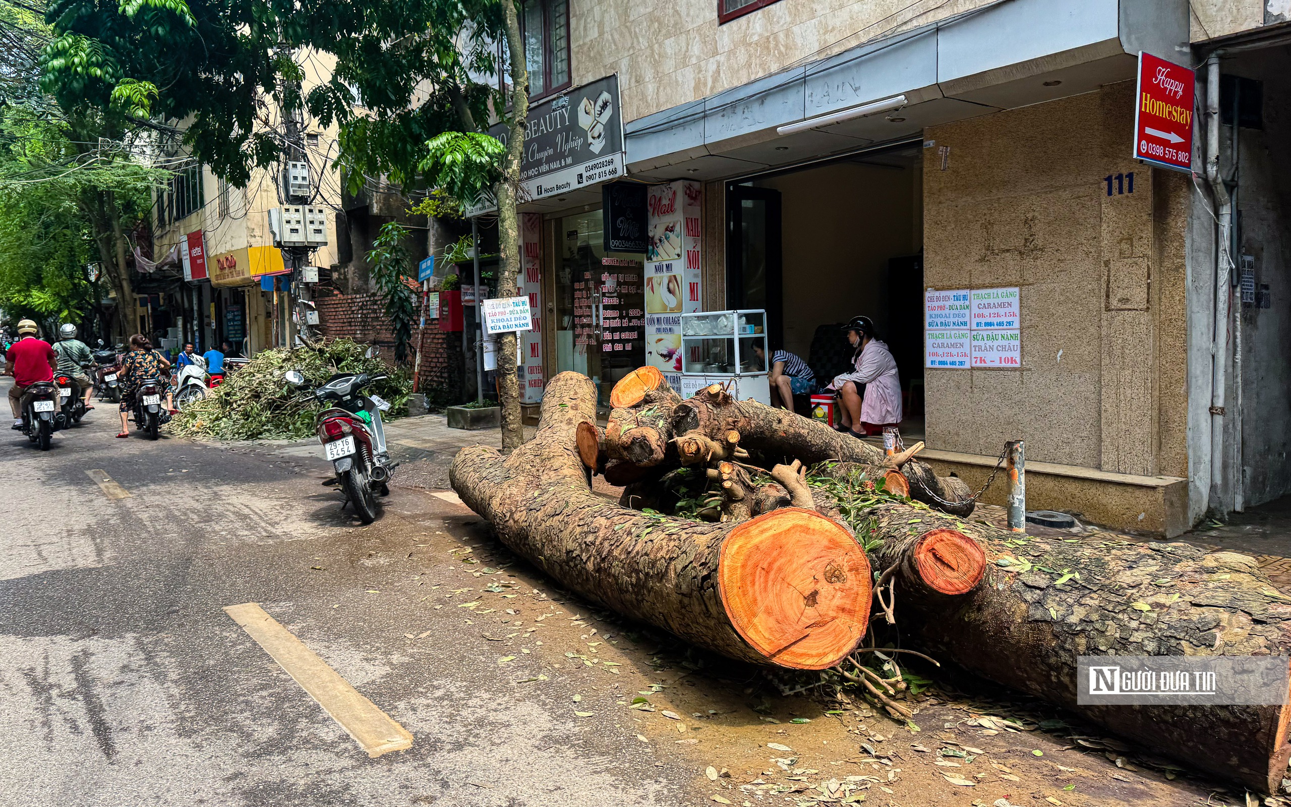 Hà Nội: Cây xanh gãy đổ vẫn ngổn ngang trên đường phố- Ảnh 7.