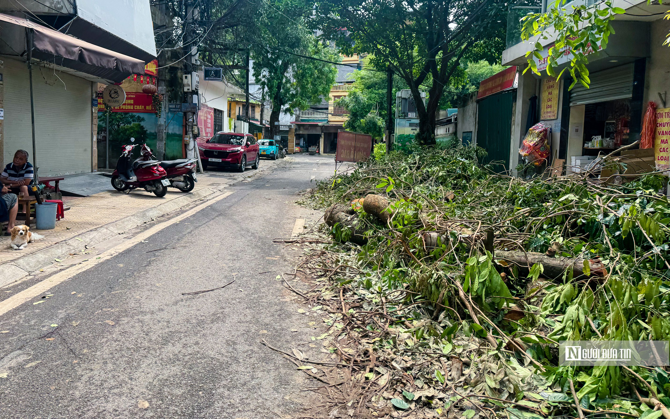 Hà Nội: Cây xanh gãy đổ vẫn ngổn ngang trên đường phố- Ảnh 9.