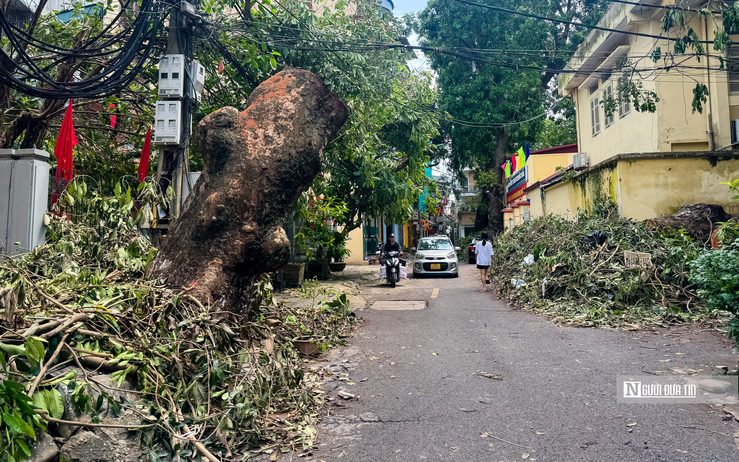 Hà Nội: Cây xanh gãy đổ vẫn ngổn ngang trên đường phố- Ảnh 10.