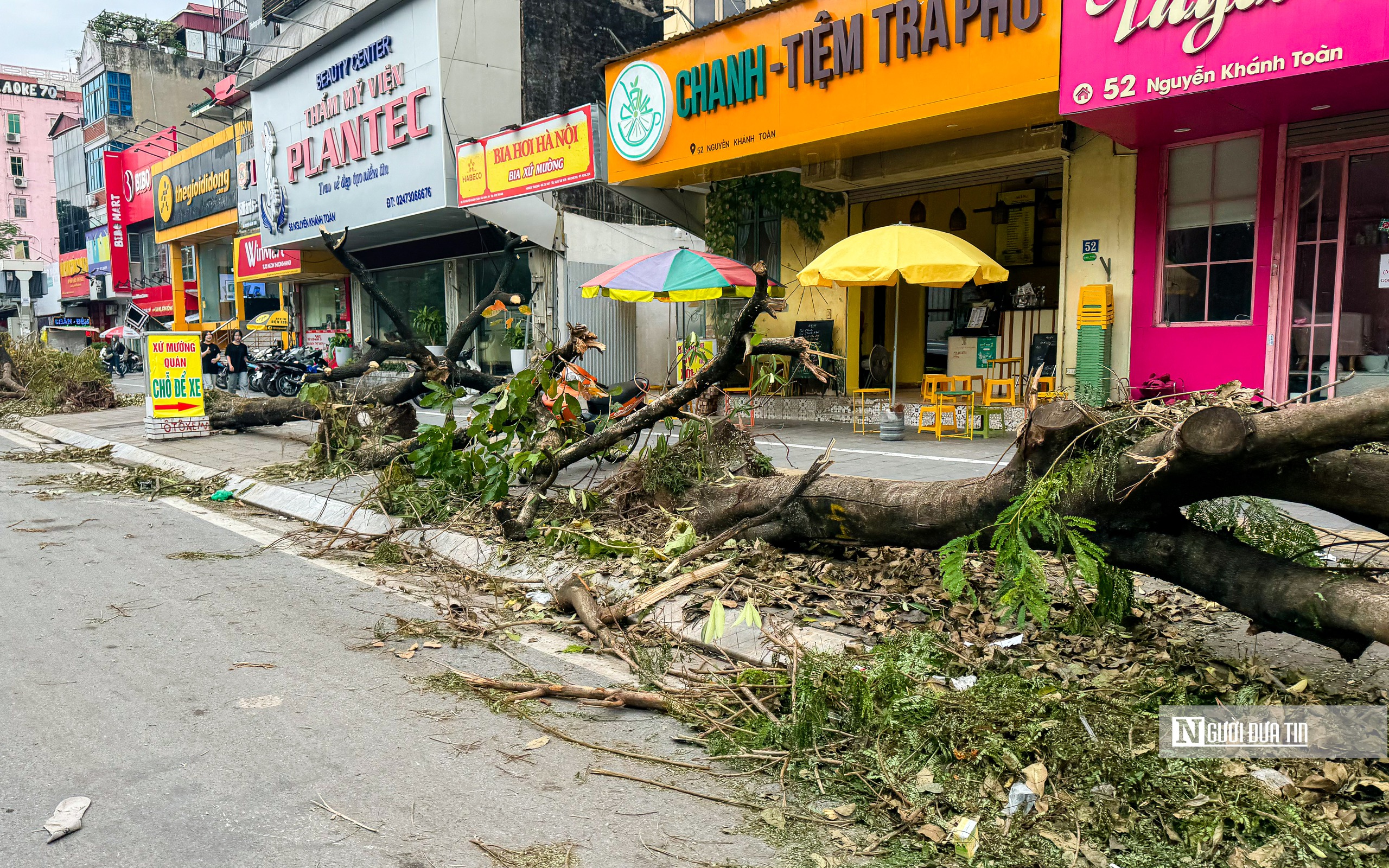 Hà Nội: Cây xanh gãy đổ vẫn ngổn ngang trên đường phố- Ảnh 15.