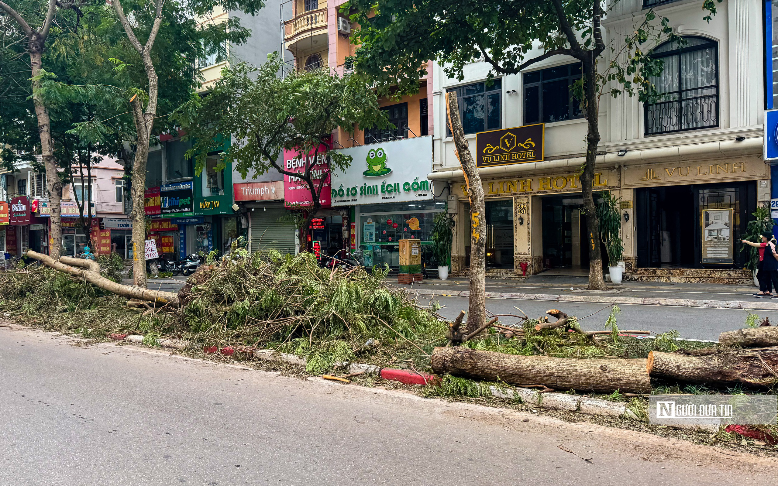 Hà Nội: Cây xanh gãy đổ vẫn ngổn ngang trên đường phố- Ảnh 14.