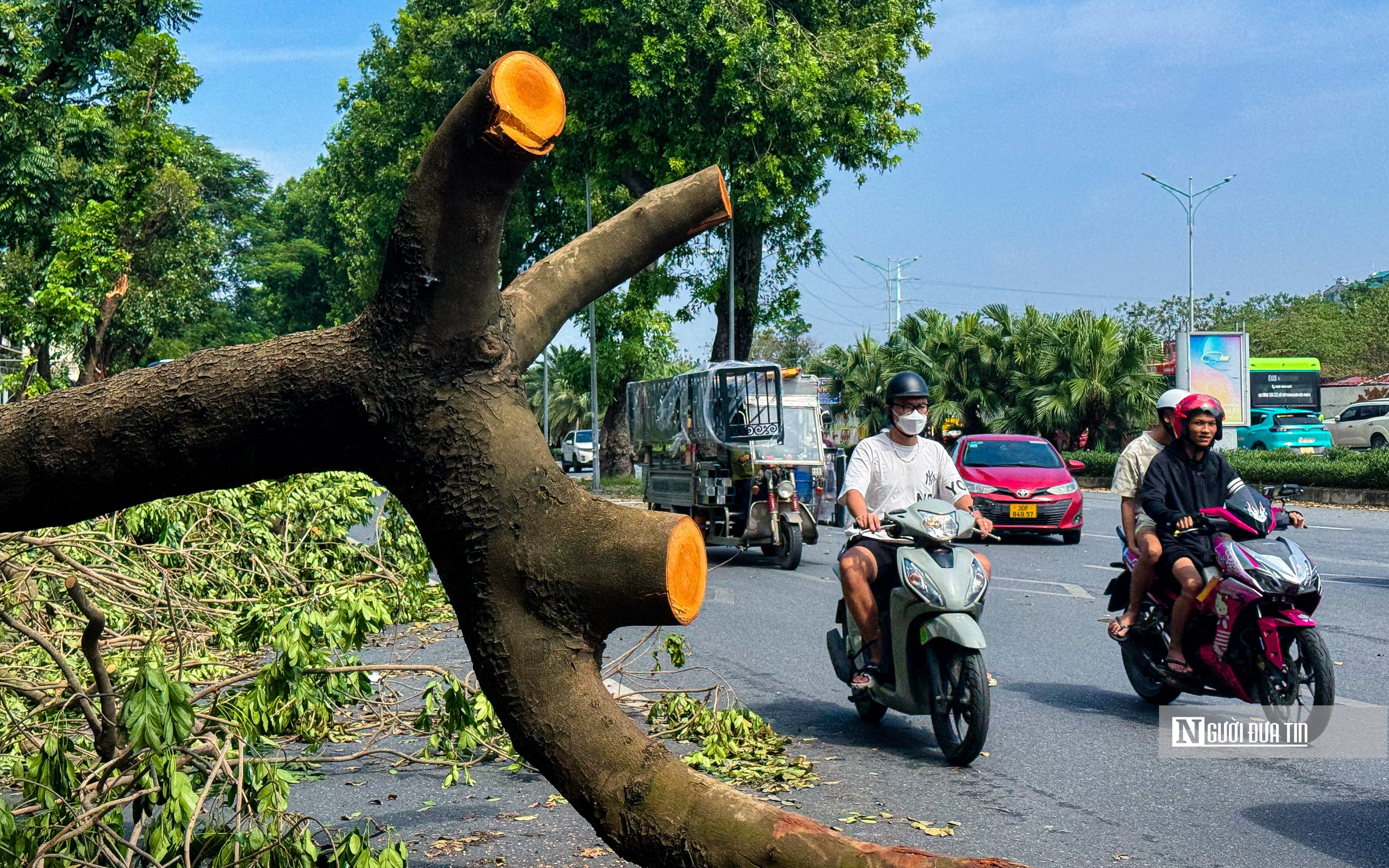 Hà Nội: Cây xanh gãy đổ vẫn ngổn ngang trên đường phố- Ảnh 3.