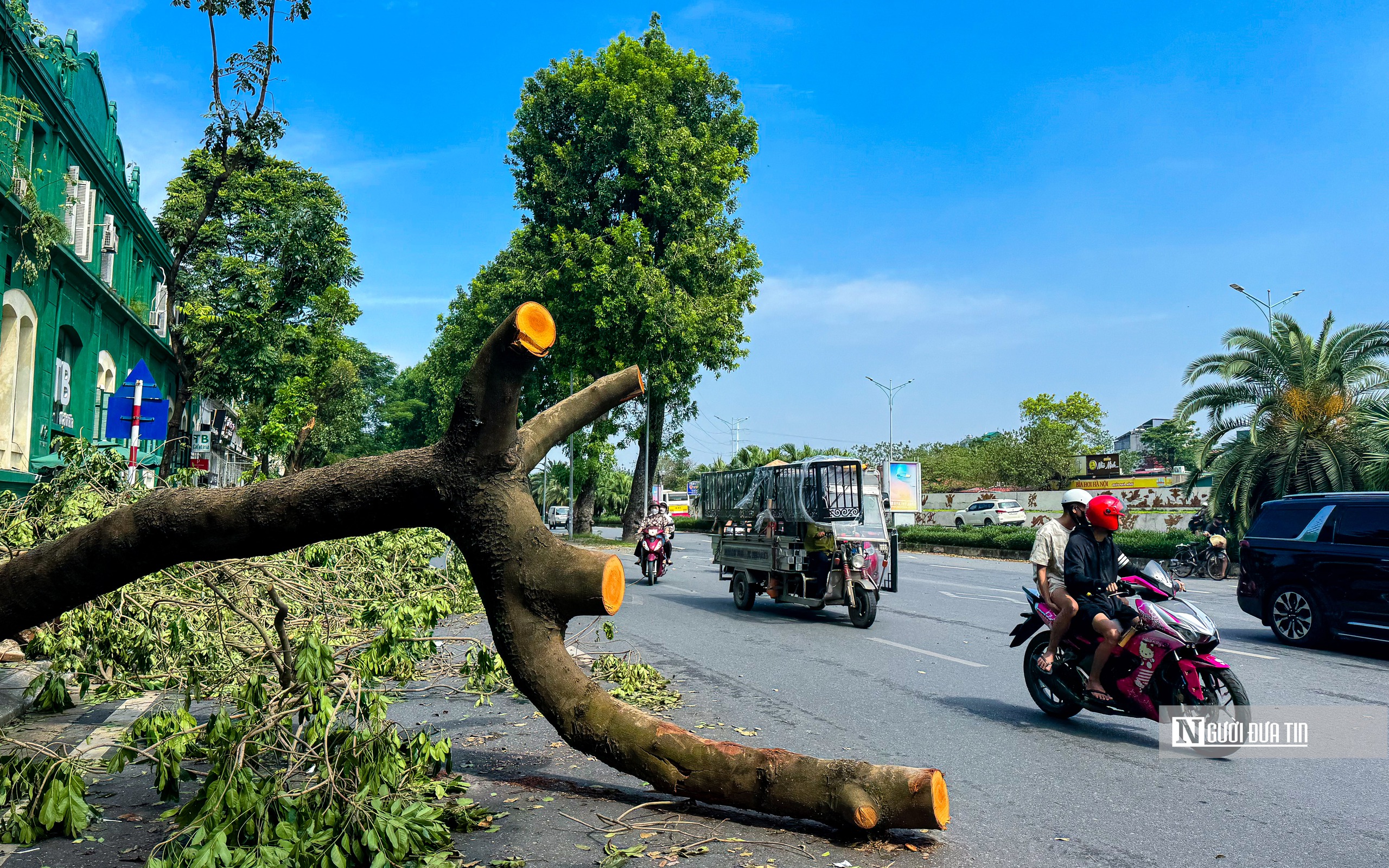 Hà Nội: Cây xanh gãy đổ vẫn ngổn ngang trên đường phố- Ảnh 2.