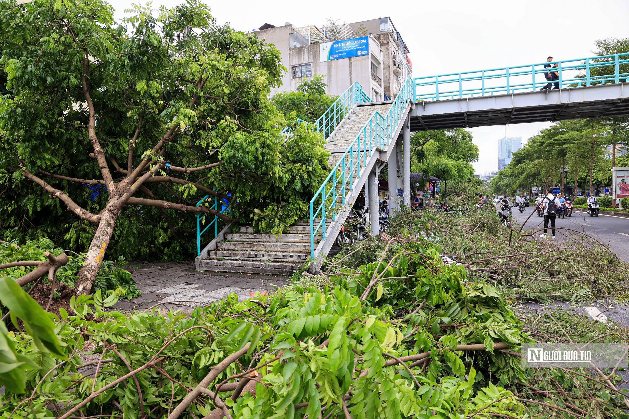 Hà Nội: Cây xanh gãy đổ vẫn ngổn ngang trên đường phố- Ảnh 1.