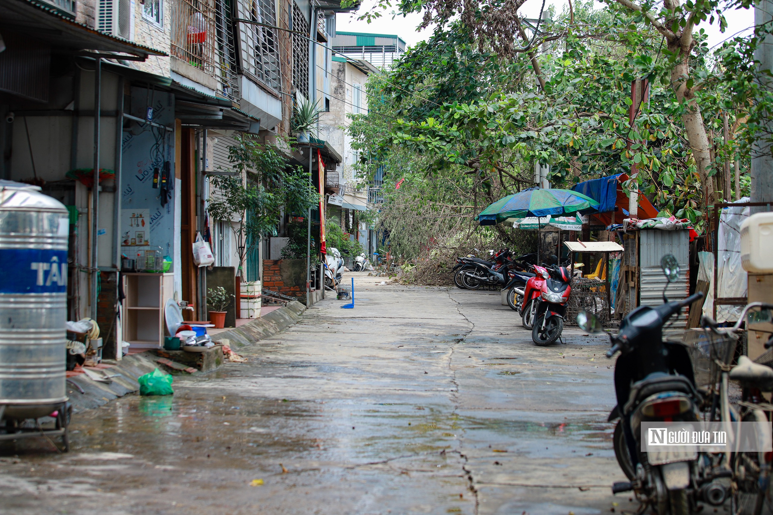 Hà Nội: Người dân tất bật dọn dẹp sau khi nước sông Hồng rút- Ảnh 10.