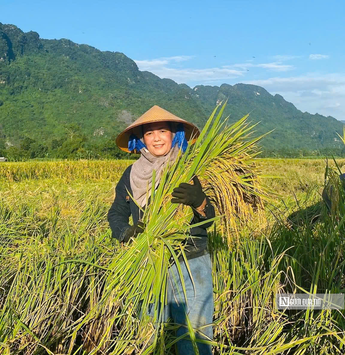 Tuyên Quang: Thầy cô lội ruộng gặt lúa, hỗ trợ khắc phục hậu quả sau bão số 3- Ảnh 13.