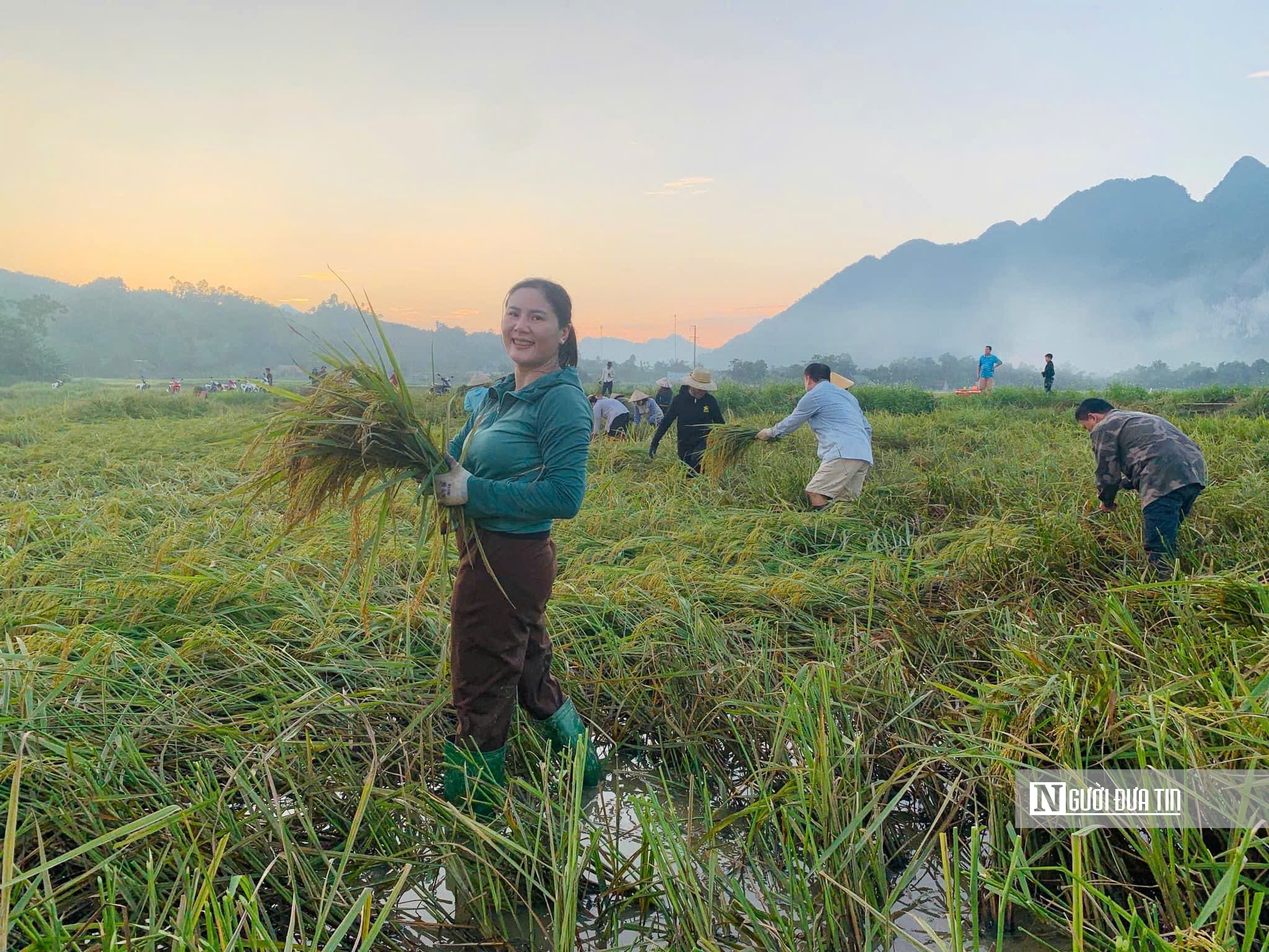 Tuyên Quang: Thầy cô lội ruộng gặt lúa, hỗ trợ khắc phục hậu quả sau bão số 3- Ảnh 9.