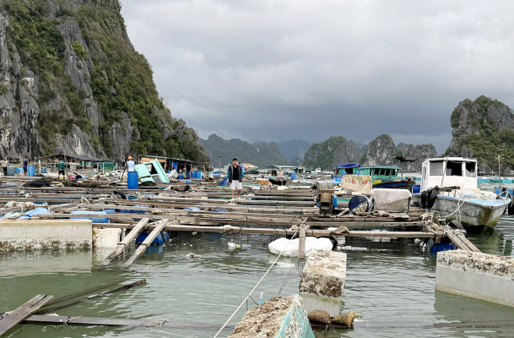 Quảng Ninh: Ngân hàng CSXH hoãn thu lãi khách hàng bị ảnh hưởng bởi bão- Ảnh 1.