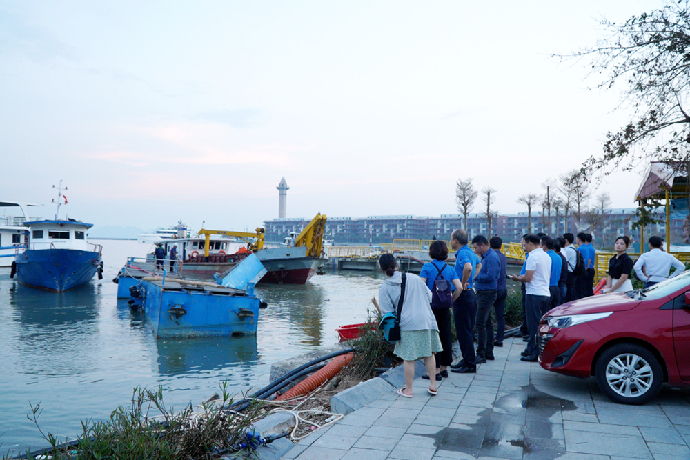 Quảng Ninh: Bảo hiểm Bảo Việt dự kiến bồi thường thiệt hại do bão 573 tỷ đồng- Ảnh 1.