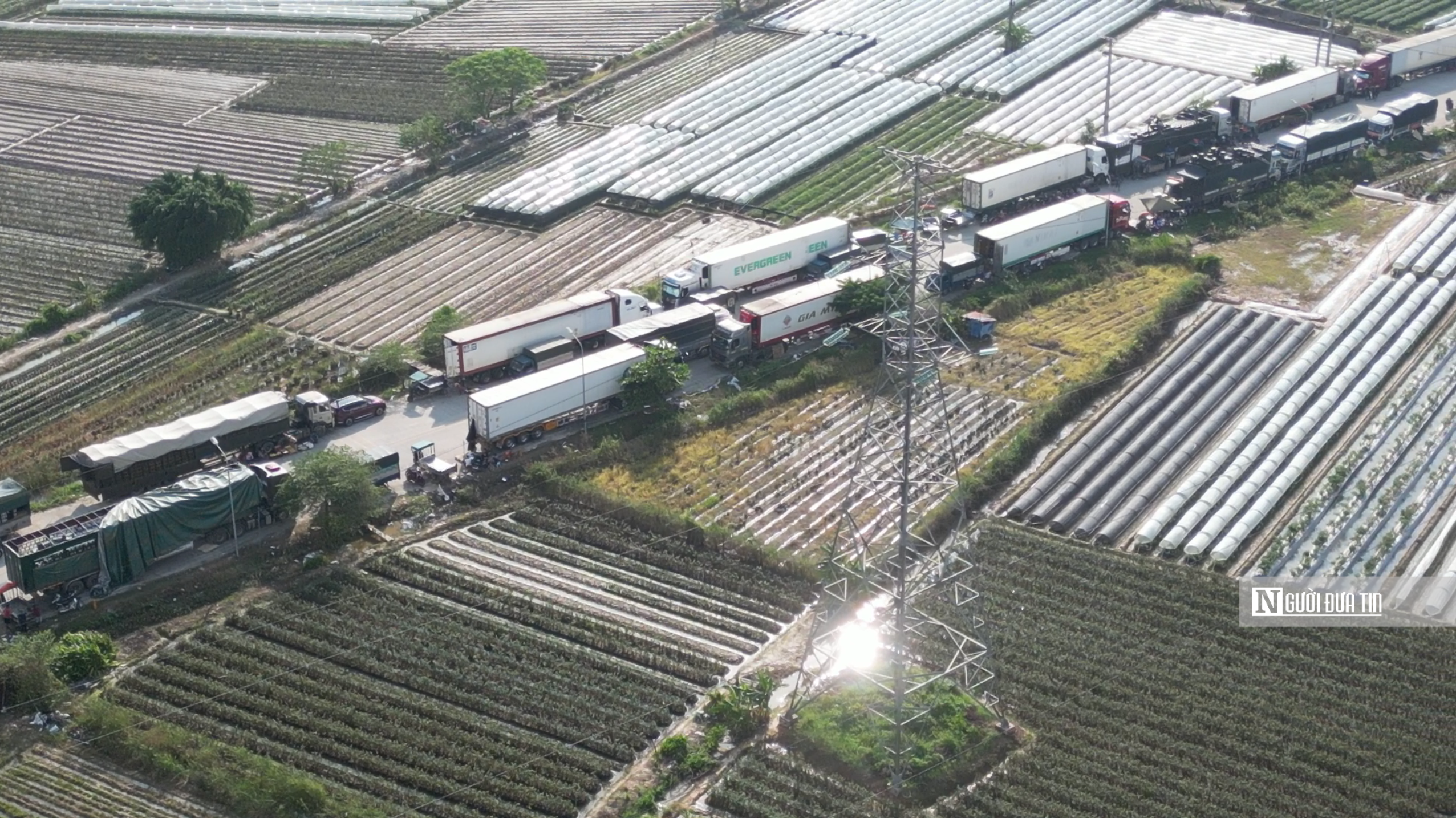 Hà Nội: “Chiếm” đường giao thông lập chợ đầu mối trái phép tại huyện Mê Linh
- Ảnh 9.