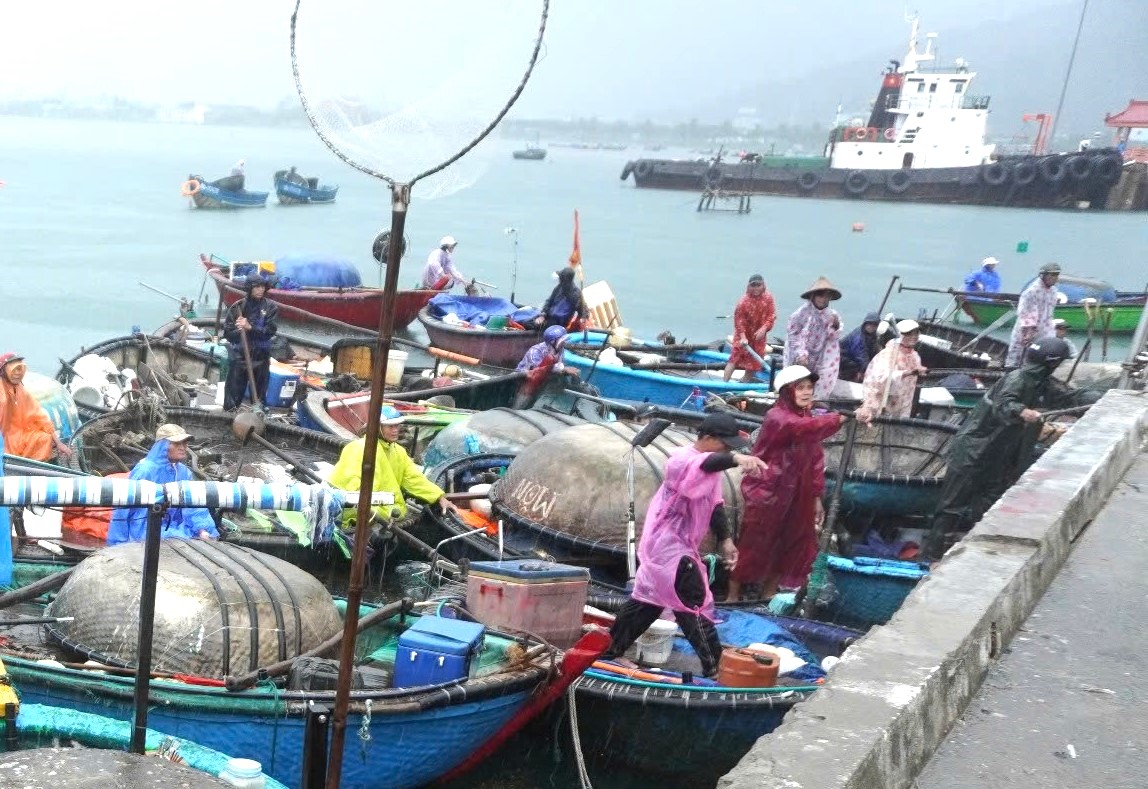 Hy vọng rằng, với sự nỗ lực và tinh thần đoàn kết của cộng đồng, ngư dân Đà Nẵng sẽ vượt qua nguy cơ áp thấp nhiệt đới mạnh thành bão một cách an toàn.