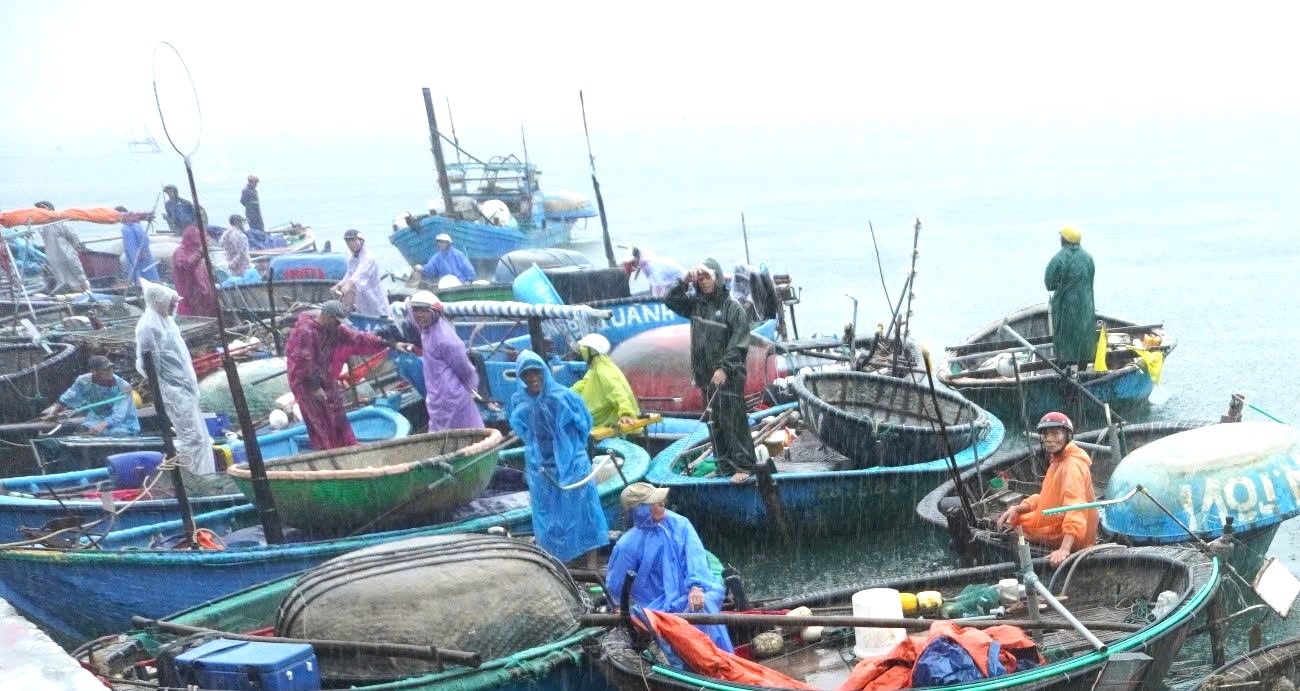 Ông Trần Văn Hải, một ngư dân kỳ cựu ở quận Sơn Trà, cho biết: "Chúng tôi đã trải qua nhiều mùa bão, nhưng lần nào cũng vậy, việc bảo vệ tài sản là ưu tiên hàng đầu trước nguy cơ áp thấp nhiệt đới mạnh thành bão. Mọi người đều nỗ lực phối hợp, giúp đỡ lẫn nhau”.