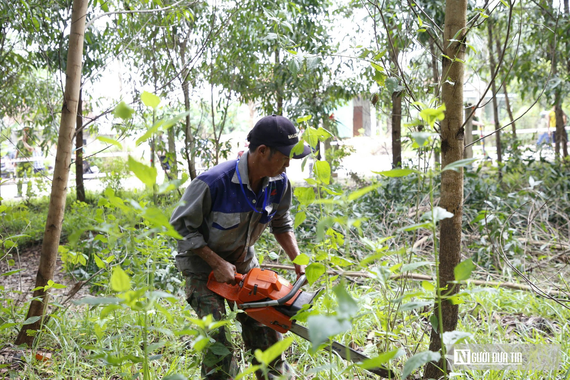 Cưỡng chế 2 hộ dân để bàn giao mặt bằng cho Dự án cao tốc Bắc - Nam đoạn qua Quảng Bình- Ảnh 6.