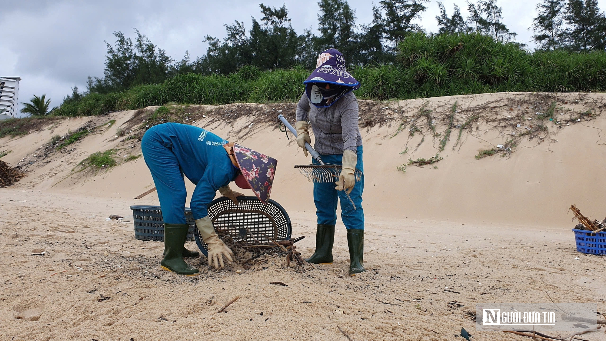 Quảng Bình: Công nhân mệt mỏi vì rác thải ồ ạt bủa vây bờ biển- Ảnh 5.