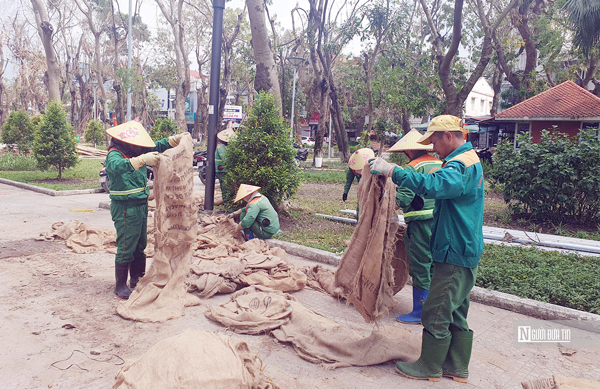 Hải Phòng: Truyền chất dinh dưỡng để cứu cây xanh đô thị- Ảnh 1.