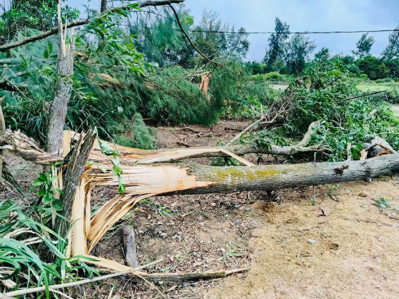 Hà Tĩnh: Giông lốc trong mưa thổi bay nhiều mái nhà- Ảnh 6.