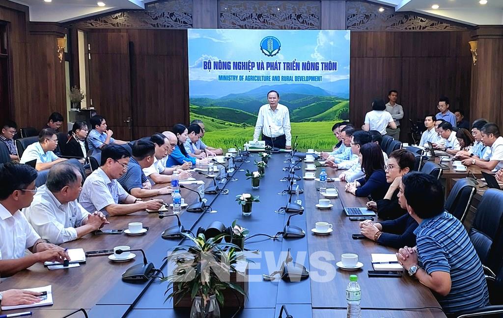 Hỗ trợ ngư dân trồng cây “siêu thực phẩm”, giải pháp hồi sinh “vùng chết” ven biển sau bão số 3- Ảnh 1.