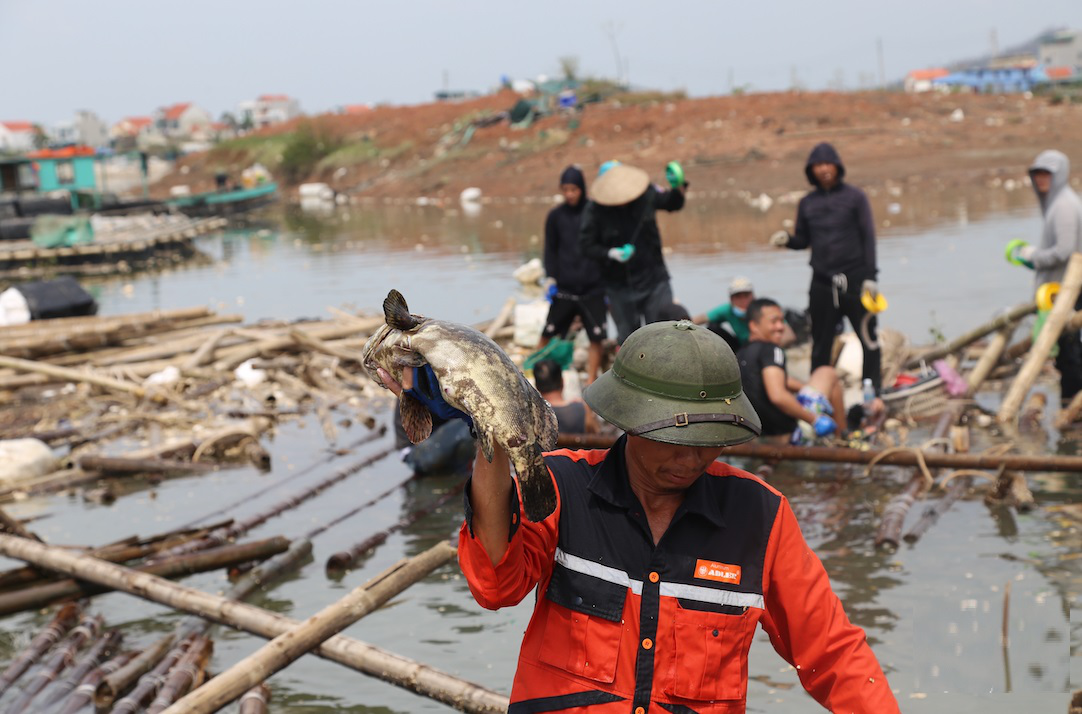 Hỗ trợ ngư dân trồng cây “siêu thực phẩm”, giải pháp hồi sinh “vùng chết” ven biển sau bão số 3- Ảnh 2.