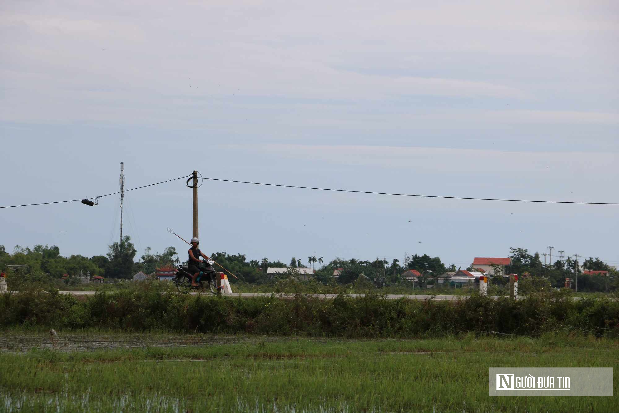 Ảnh: “Săn” cá giữa đồng sau ngày lũ rút ở Thừa Thiên-Huế- Ảnh 5.