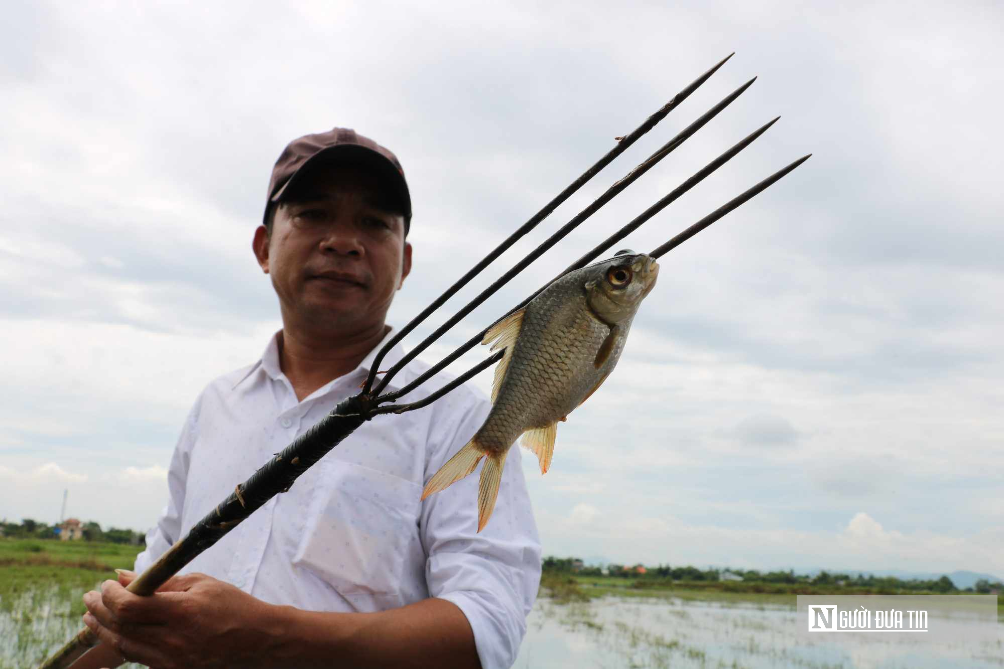 Ảnh: “Săn” cá giữa đồng sau ngày lũ rút ở Thừa Thiên-Huế- Ảnh 6.