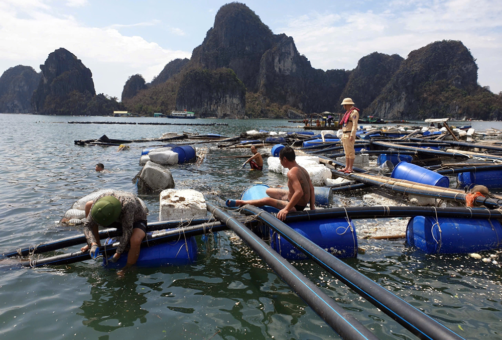 Quảng Ninh “thắt lưng buộc bụng” ưu tiên khắc phục hậu quả do bão- Ảnh 3.