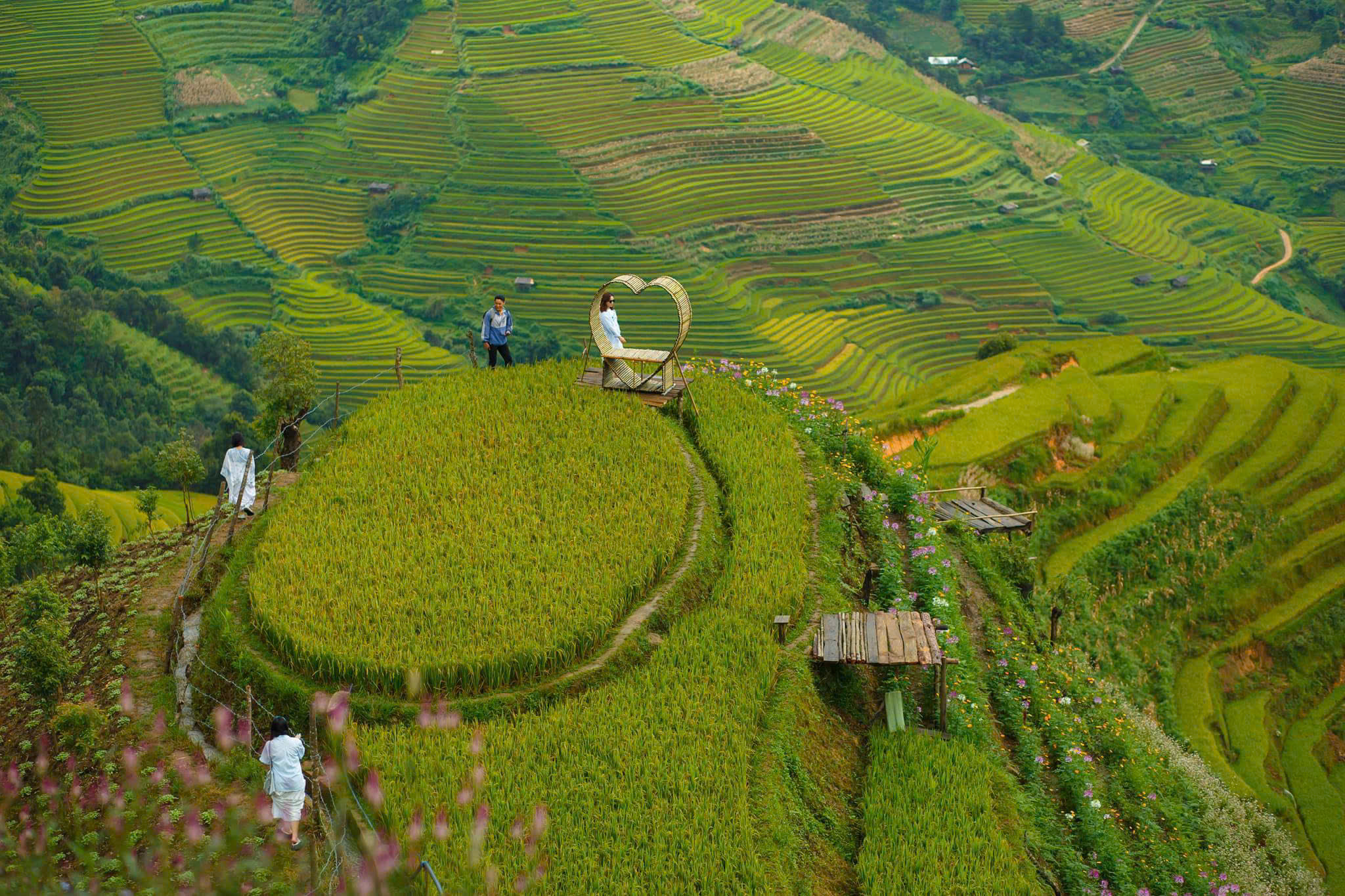 Ngắm ruộng bậc thang mùa lúa chín ở xứ Mù- Ảnh 6.