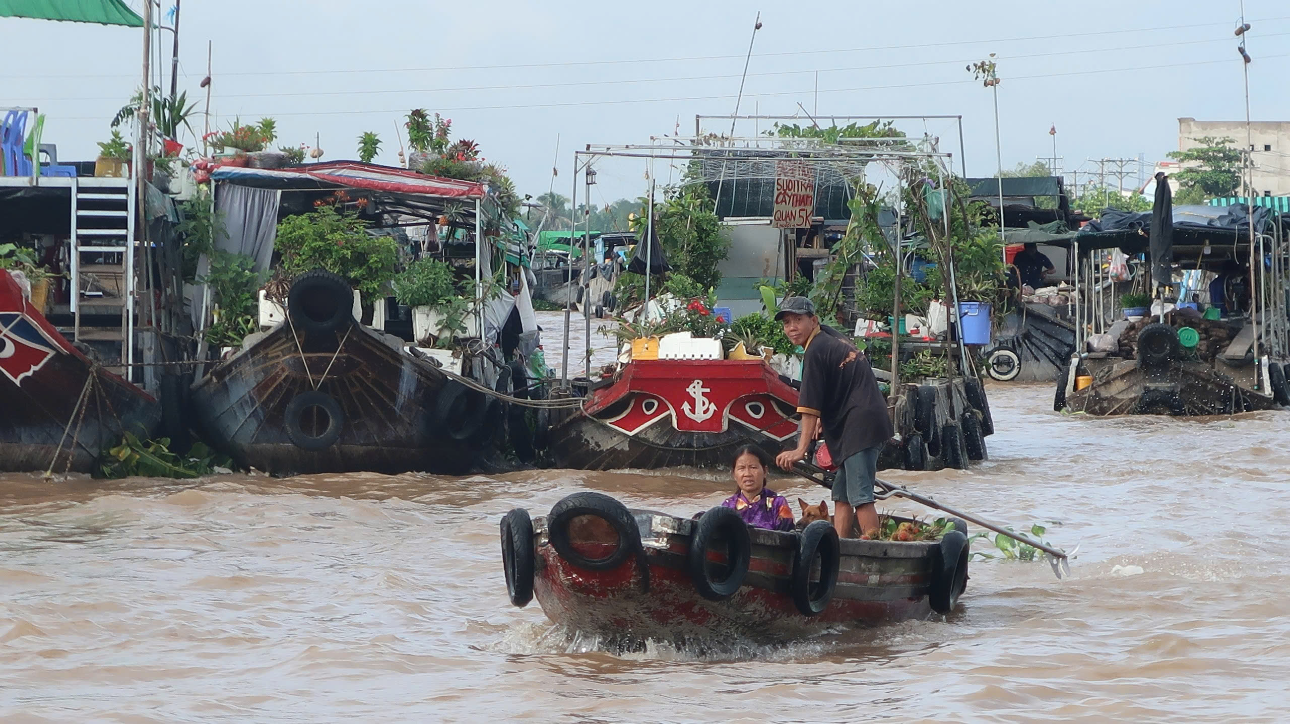 Trăn trở bài toán bảo tồn và phát triển chợ nổi Cái Răng- Ảnh 8.