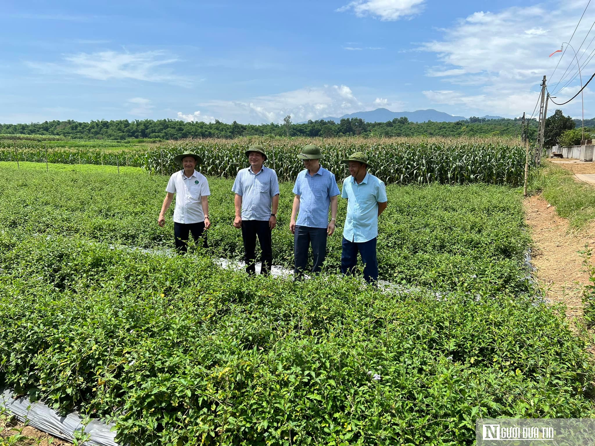 Hành trình xây dựng thương hiệu OCOP Nghệ An – Kỳ 1: Khai phá tiềm năng sản vật địa phương- Ảnh 2.